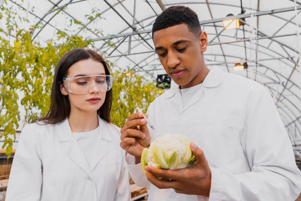 Ways to Study for Organic Chemistry